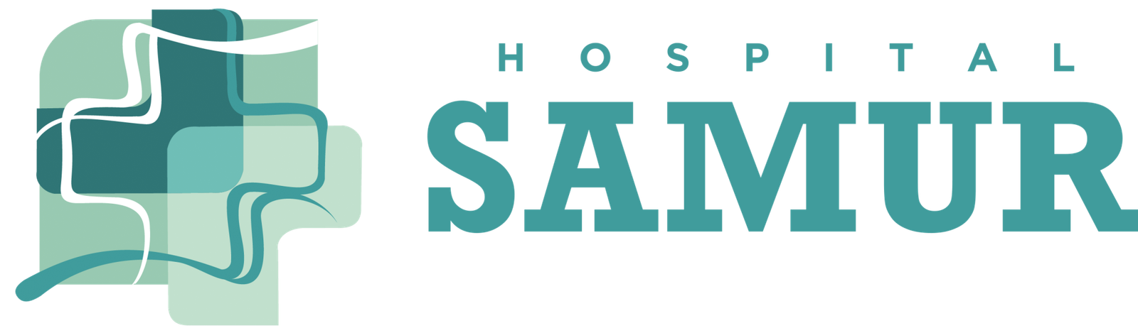 Hospital Samur